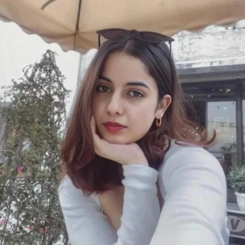 Independent Call Girls in Delhi